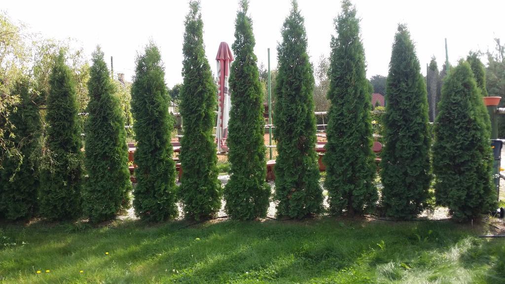 Wyspa Kampinos Brochów Dış mekan fotoğraf